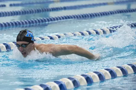 Vincent Vivadelli Fly