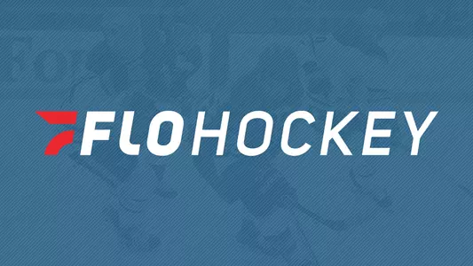 flohockey