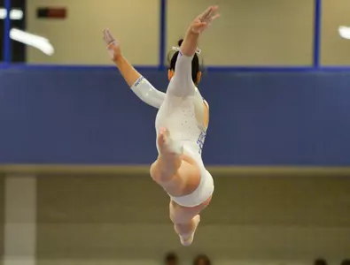 Amber Boll