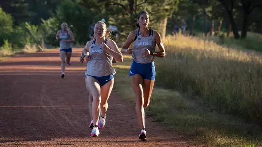 Fruchey.Wusinich_AFO21