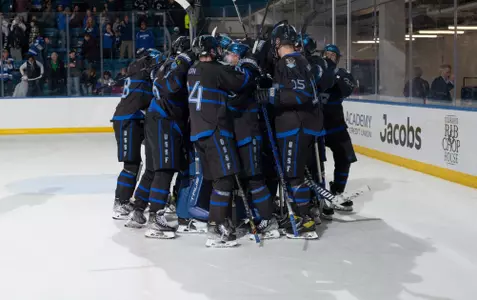 huddle, team, celebration