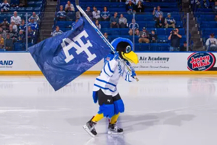 bird with flag