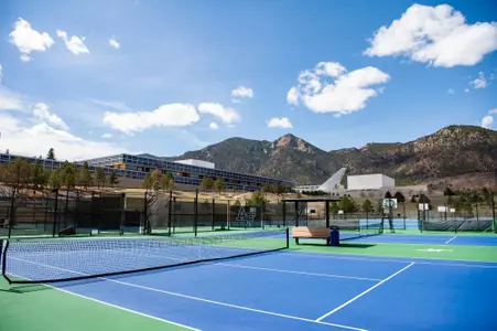 WTN Outdoor Courts 2024-25
