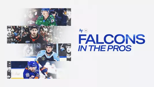 Hockey Falcons in the pros
