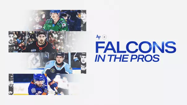 Hockey Falcons in the pros