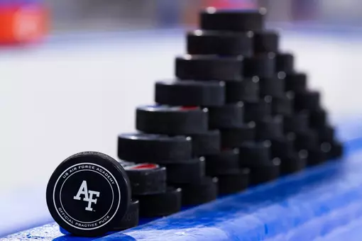 Hockey pucks