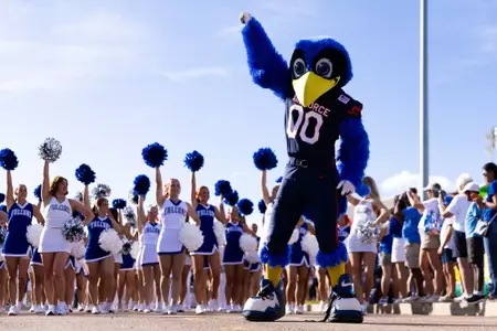 The Bird at the Falcon Walk vs. Duquesne