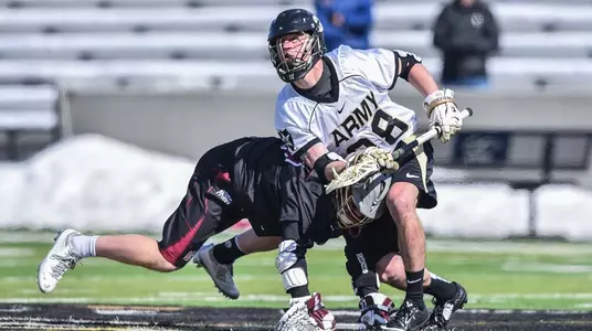 Daly_laf_2015