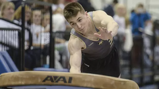 cole casanova vault at penn state 2016