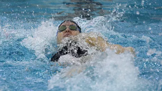 Hamilton SWIM