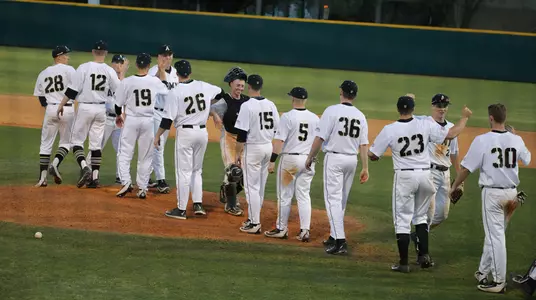Baseball Celebration