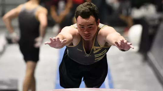 Wilson Vault WPO 2017