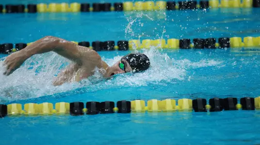 Men's Swim vs. Lehigh 2016-17