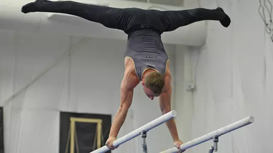 Goff Parallel Bars