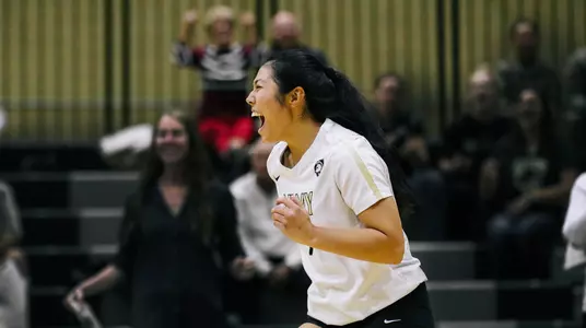 Army Volleyball vs. Lehigh 2018