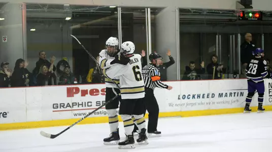 Bilek vs. Niagara 2018-19