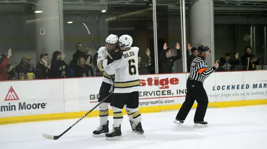 Bilek vs. Niagara 2018-19