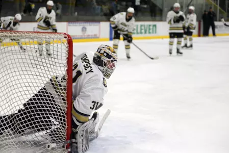 Dempsey vs. Niagara 2018-19