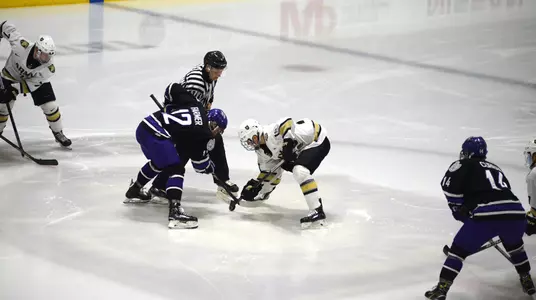 Higgins vs. Niagara 2018-19