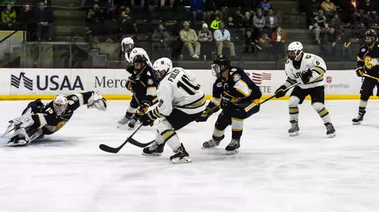 Fidler vs. Canisius 2018-19