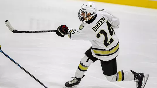 Dineen