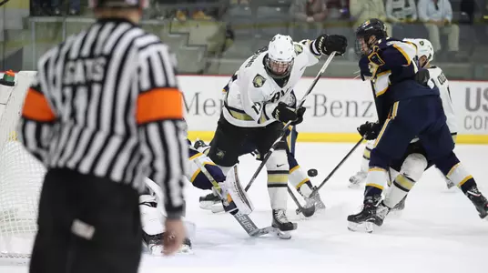 DeYoung vs. Canisius 2018-19