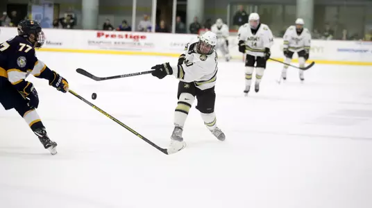 Fidler vs. Canisius 2018-19