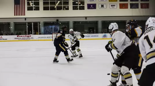 MacAfee vs. Canisius 2018-19