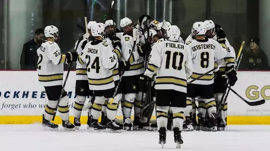 Hockey vs. Canisius 2018-19