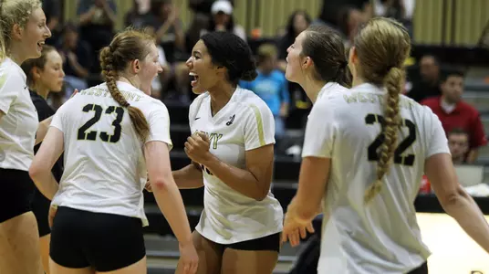 Volleyball Celebrates after a point - 2018