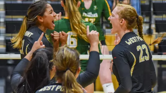 Volleyball team celebrating