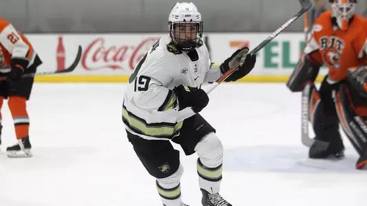 Abdelnour vs. RIT 2019