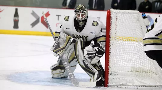 Penta in net 2019
