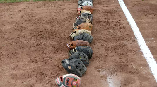 Softball gloves