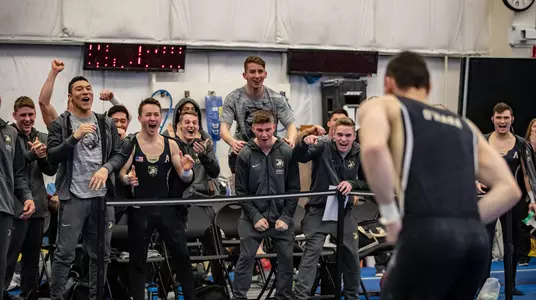 Gymnastics celebrating 2019