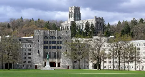the plian