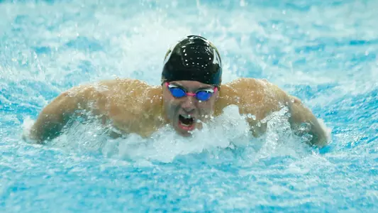 MSwim Butterfly