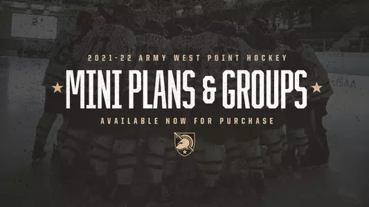 Army Hockey group/minis