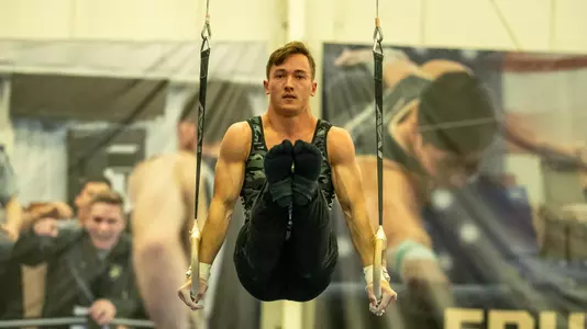 Davis action - rings