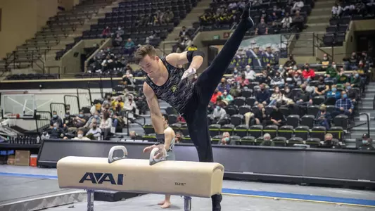 davis action pommel