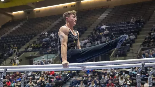 davis action - parallel bars