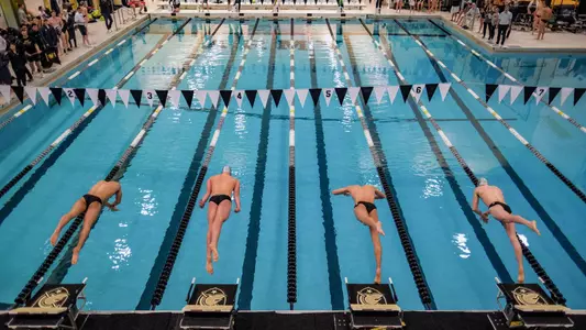 Men's Swim