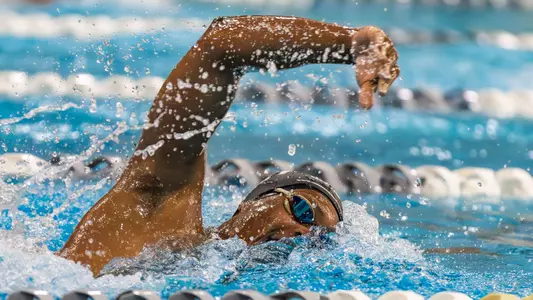 Swim/Dive