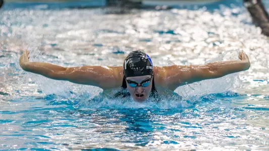 1.31 Swimming & Diving