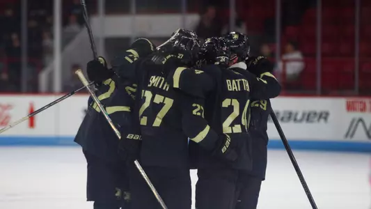 Hockey Celebrates a Goal at Northeastern
