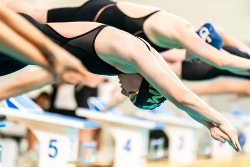 Swimming & Diving at GTDMT