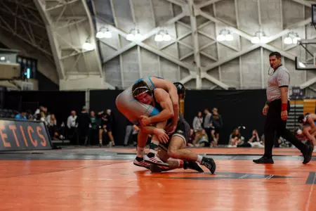 Princeton Open Preview