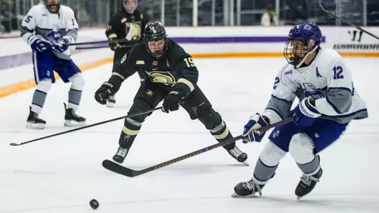 Nik Hong on the Forecheck at Niagara