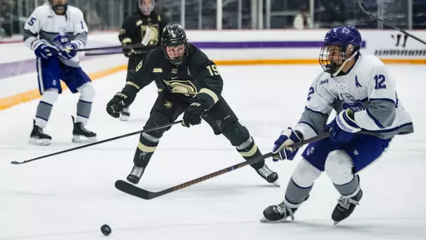Nik Hong on the Forecheck at Niagara
