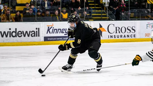 Vincent Salice Skating